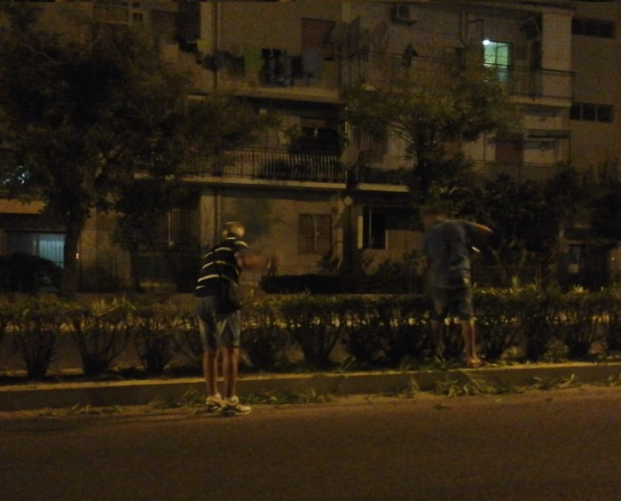 Crotonesi che potano le aiuole