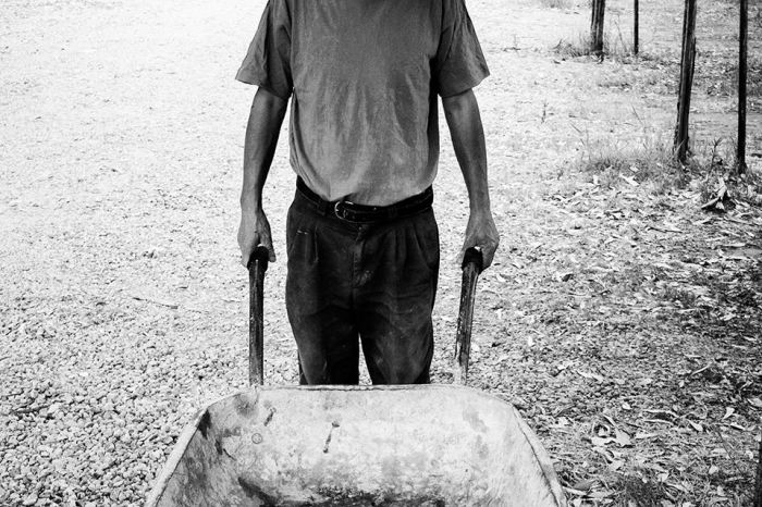 foto di Tiziano Boscarato